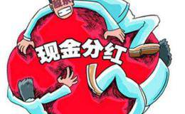 股息收益率、支付率、发放率是什么？如何分析上市企业的股利发放率指标？