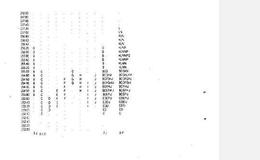 如何理解多头斩仓狂跌？为什么说多头斩仓狂跌？