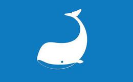 什么是货币ETF ？货币ETF有何特点？