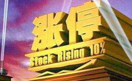 杨德龙股市最新消息：2019年行情即将收官 有哪些经验教训？