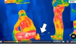 龙虎榜复盘：特斯拉高开低走，在线板块再度强势，明日个股分化