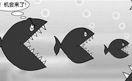 [信哥实盘股市分析]A股再迎重磅利好！牛市真的来了？