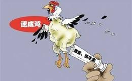 [巴菲特看股市]中石油大跌后很便宜，为什么都不敢出手？现在拿50万继续抄底，捂到牛市能赚钱？