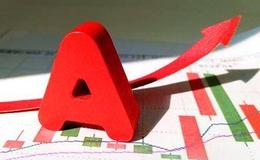 老张投研：最重要的一节！