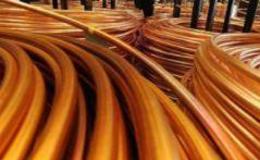 蔡钧毅股市最新消息：今天市场有个好现象